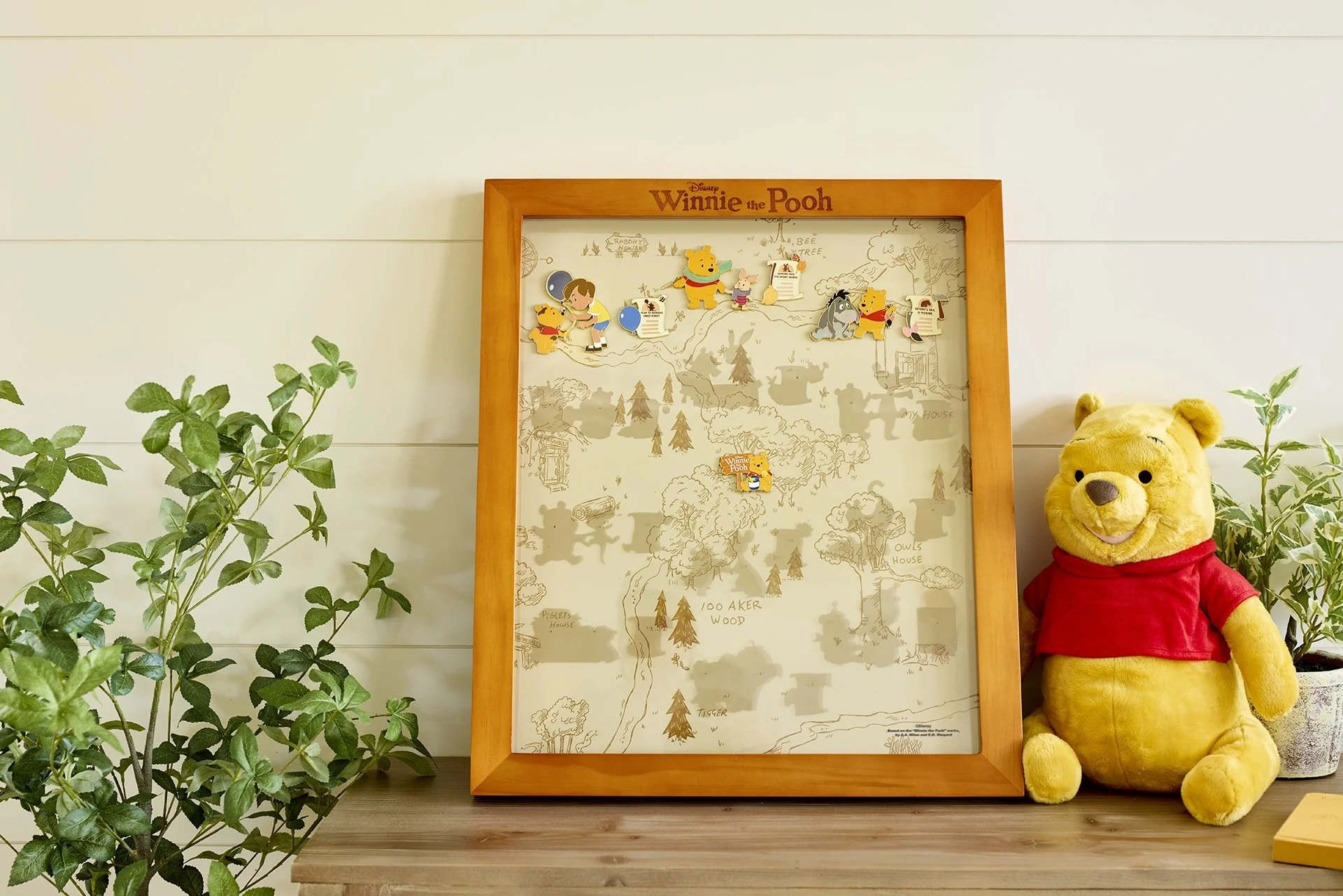 Winnie+the+Pooh+Pin+Display+